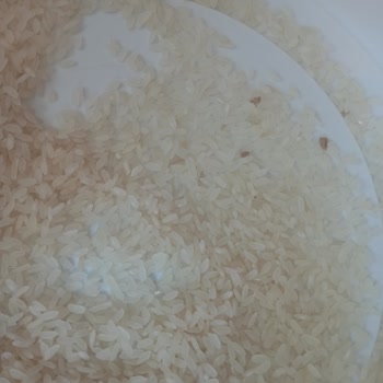 Mutlular Grup Pirincinde Tanımlanamayan Cisimler Ve Geri Dönüşsüz İletişim