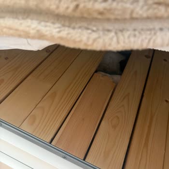 İki Yıldır Kullanılmayan IKEA Hemnes Divanda Aniden Çıt Sesli Kırılma