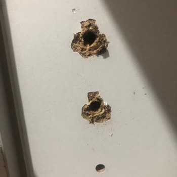 Vivense'den Gelen Gardıropta Kırık Kapak Ve Menteşe Sorunları Çözülmedi