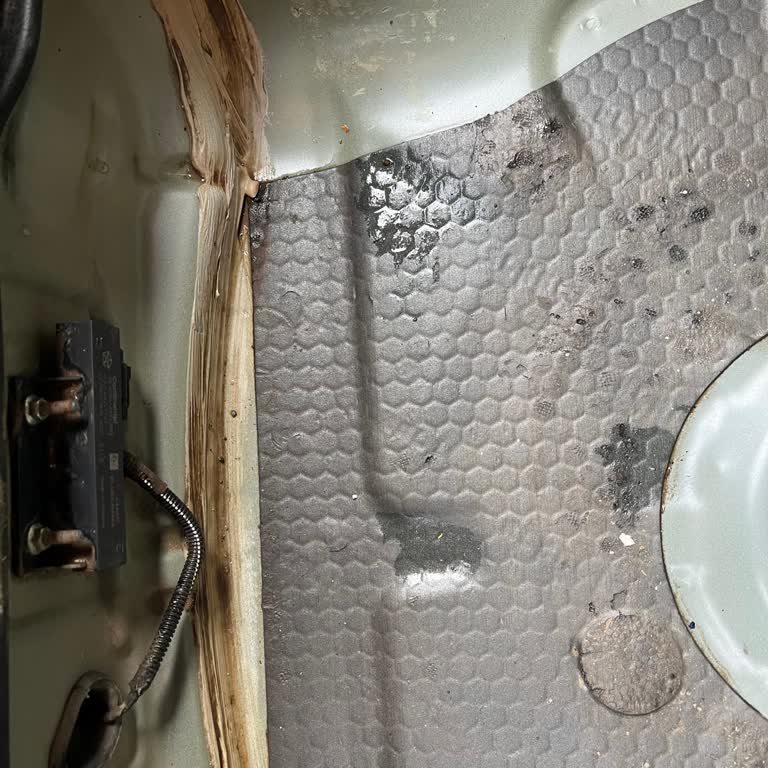 Egea Cross Bagaj Lastik Haznesi Yağmurda Su Alıyor