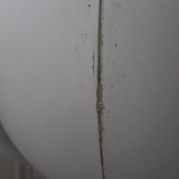 Kiwi Pets Hacimli Kedi Tuvaletimde Sorun Yaşadım