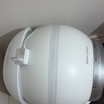 Kiwi Pets Hacimli Kedi Tuvaletimde Sorun Yaşadım