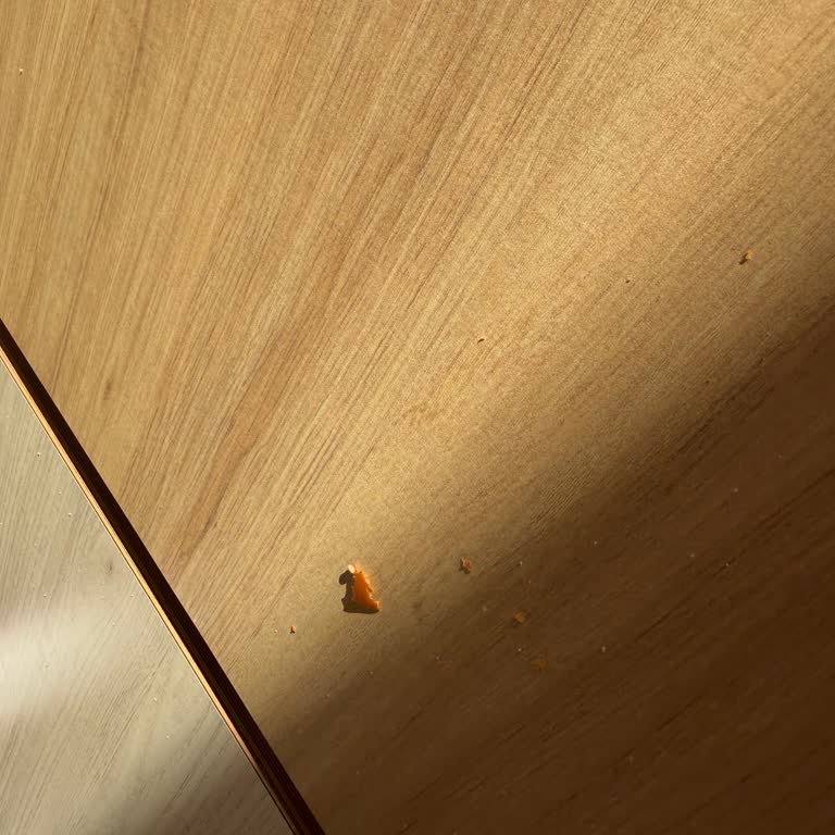 KFC Lens İstanbul Şubesinde Uzun Bekleme Ve İlgisiz Personel