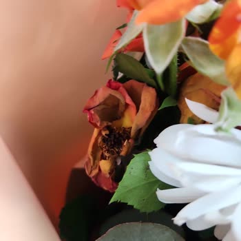 Görseldekiyle Uyuşmayan Çiçek Sepeti Siparişi: Solmuş Ve Eksik Aranjman