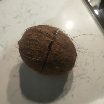 Küflü Hindistan Cevizi Siparişi Ve Şok Online’dan Cevapsızlık