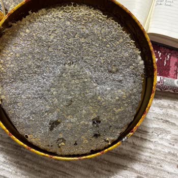 Yanlış Bal Gönderimi: Fotoğrafla Belirttiğim Karakovan Petek Bal Gelmedi