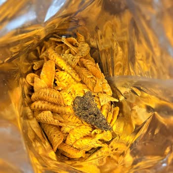 Patos Rolls Ürününde Bulunan Yabancı Parça Hijyen Endişesi