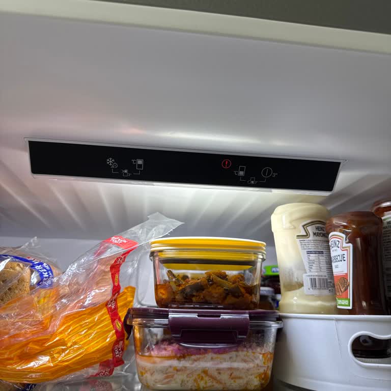 Pendik Yenişehir'deki Arçelik Buzdolabındaki Ses Sorunu Ve Geciken Servis İçin Acil Çözüm Talebi