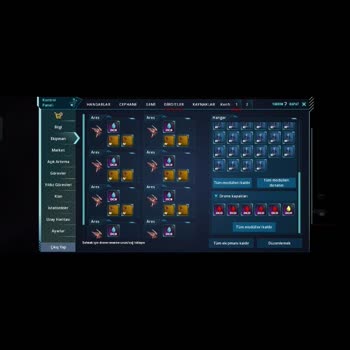 Waruniverse Hesabımın Çalınması Ve İadesi İçin Acil Yardım Talebi