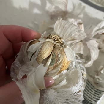 A101 Şubesinde Çürük Sarımsak Ve Aşırı Fiyat Şikayeti