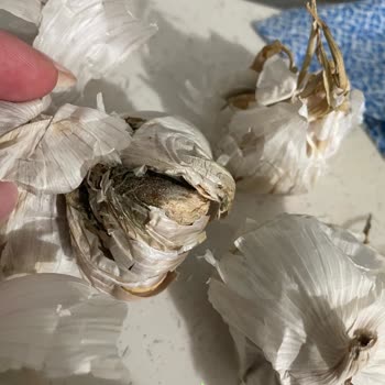 A101 Şubesinde Çürük Sarımsak Ve Aşırı Fiyat Şikayeti