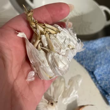 A101 Şubesinde Çürük Sarımsak Ve Aşırı Fiyat Şikayeti