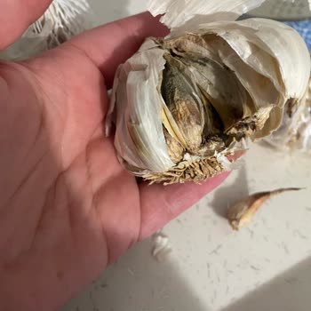 A101 Şubesinde Çürük Sarımsak Ve Aşırı Fiyat Şikayeti