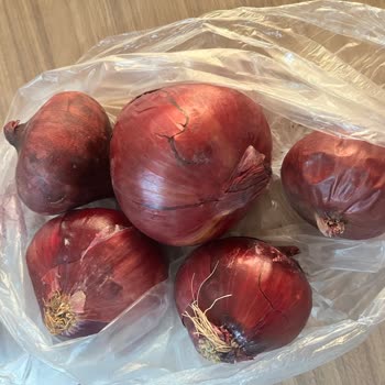 Çürük Kırmızı Soğanlar Ve Personel Dikkatsizliği