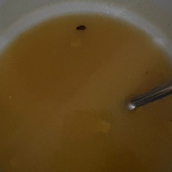 Knorr Çabuk Mercimek Çorbasında Böcek Kontaminasyonu Ve Sağlık Sorunu