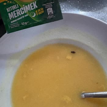 Knorr Çabuk Mercimek Çorbasında Böcek Kontaminasyonu Ve Sağlık Sorunu