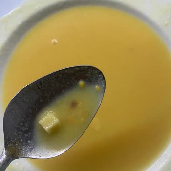 Knorr Çabuk Mercimek Çorbasında Böcek Kontaminasyonu Ve Sağlık Sorunu