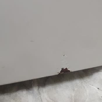 Vestel Buzdolabında Pas Ve Boya Kabarması, Garanti Reddi Ve Kaba Tutum