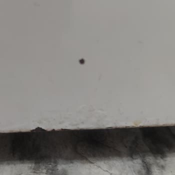 Vestel Buzdolabında Pas Ve Boya Kabarması, Garanti Reddi Ve Kaba Tutum