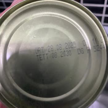 Superfresh Ton Balığı Kutularında Bozulma Ve Koku Sorunu