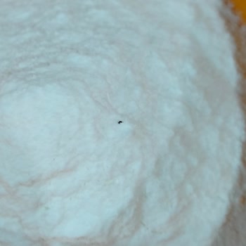 Krem Şantide Görülen Siyah Nesne Ve Ölü Böcek Şikayeti