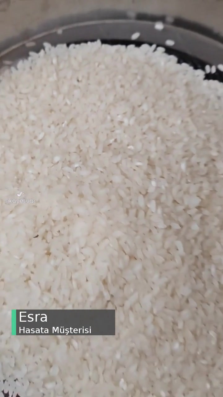 Yeni Aldığım Hasata Pirinç İçinden Böcekler Çıktı! videonun kapak resmi