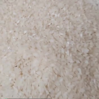 Yeni Aldığım Hasata Pirinç İçinden Böcekler Çıktı!