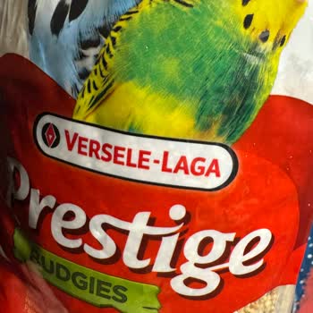 Muhabbet Kuşu Yemi Yerine Hamster Yemi Gelen Paket Beni Hayal Kırıklığına Soktu