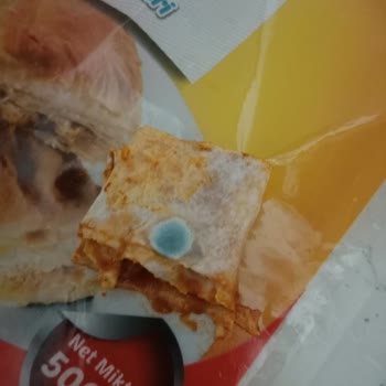 Migros'ta Satın Aldığım Yufkada Küf Görüldü, İftar Mahvoldu