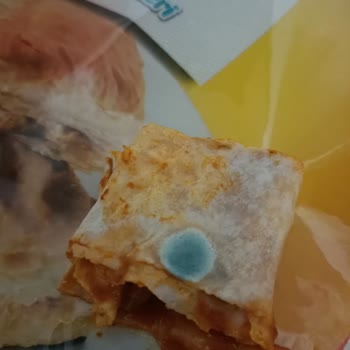 Migros'ta Satın Aldığım Yufkada Küf Görüldü, İftar Mahvoldu