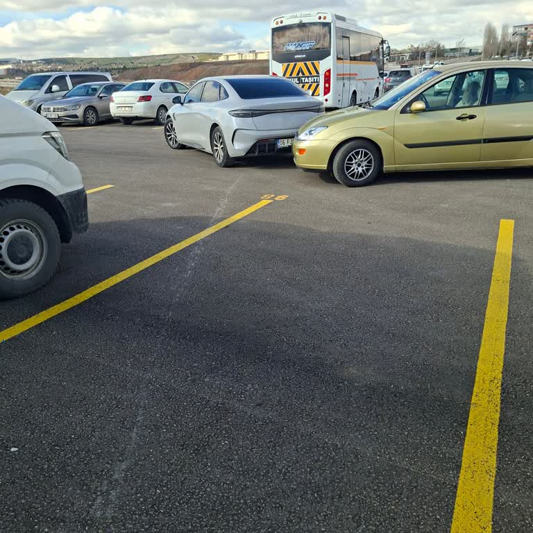 Otomatik Fren Sistemi Arızası Ve Servis Gecikmesi