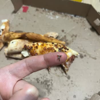 Domino's Pizza’da Metal Parça Bulunması Ve Gıda Güvenliği İhmaline Karşı İade Talebi