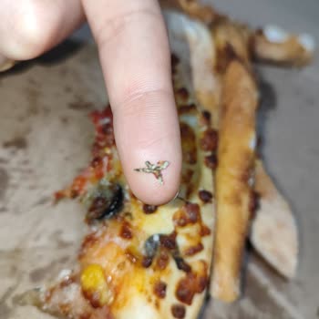 Domino's Pizza’da Metal Parça Bulunması Ve Gıda Güvenliği İhmaline Karşı İade Talebi