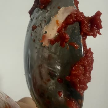 Tat Kavanoz Üründe Yabancı Cisim Ve Hijyen Sorunu