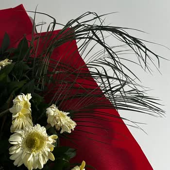 Teslimat Söz Verilen Saate Ulaşmadı, Doğum Günü Hediyem Gecikti