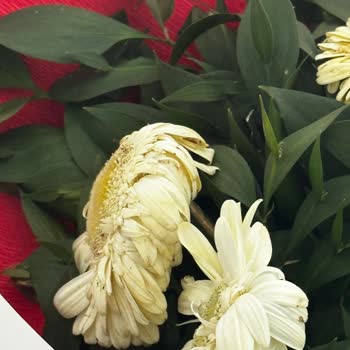 Teslimat Söz Verilen Saate Ulaşmadı, Doğum Günü Hediyem Gecikti