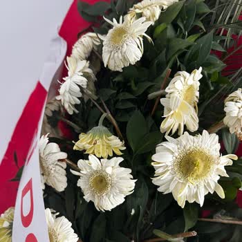 Eki aç