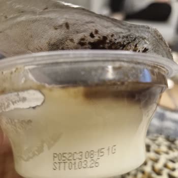 Kazandibi Tatlısında Küf Ve Çiğköfte Bayatlığı: Sağlık Endişesi Ve İade Talebi