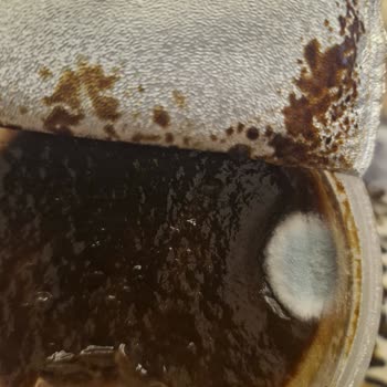 Kazandibi Tatlısında Küf Ve Çiğköfte Bayatlığı: Sağlık Endişesi Ve İade Talebi