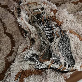 Koltuk Ayaklarındaki Boya Çözülmesi Ve Kırlentlerin Parçalanması Nedeniyle Yaşadığım Mağduriyet