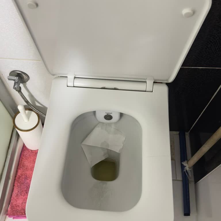 Cerastyle Klozet Kapağına Uyumlu Yedek Parça İsteği