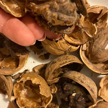 Küflü Ceviz, Eksik Gönderim Ve Cevapsız İade Talebi