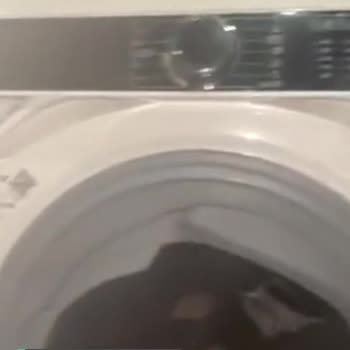 Hoover Kurutmalı Makinesi Pişmanlık