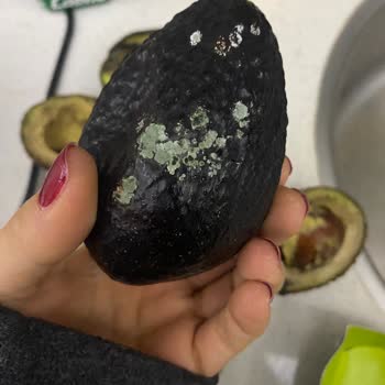 Hazır Avokado Siparişinde Çürük Ürünler Ve İade Talebi