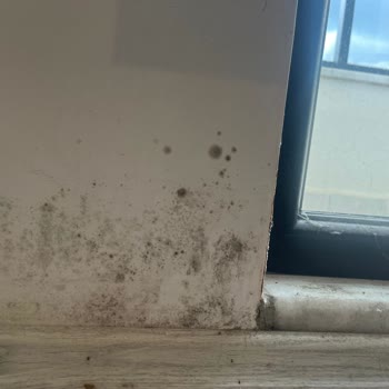 Küf Ve Nem Sorunları İçin Kalıcı Çözüm Talebi