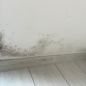 Küf Ve Nem Sorunları İçin Kalıcı Çözüm Talebi