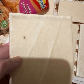 Superfresh Milföy Hamurunda Örümcek Bulunması Hijyen Endişelerini Artırdı