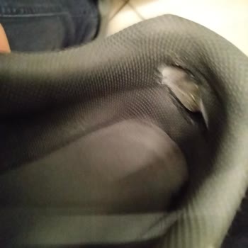 Skechers Hillcrest 2.0 Ayakkabısının Topuk Kısmının Erimesi Ve Kullanılamaz Hale Gelmesi