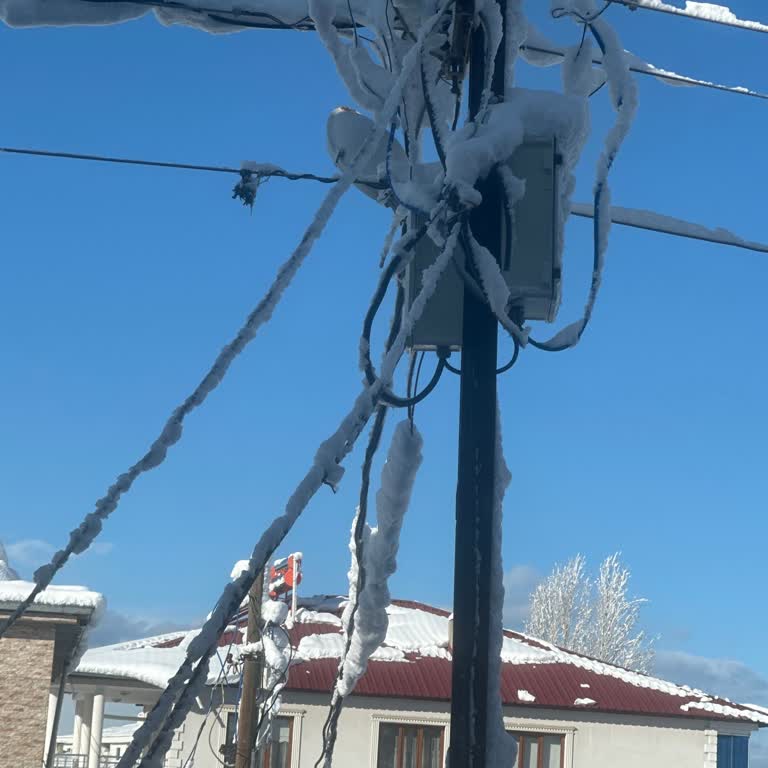 Gece Yarısı Elektrik Kesintisi Ve Ulaşılmaz Şartel Nedeniyle Acil Çözüm Talebi