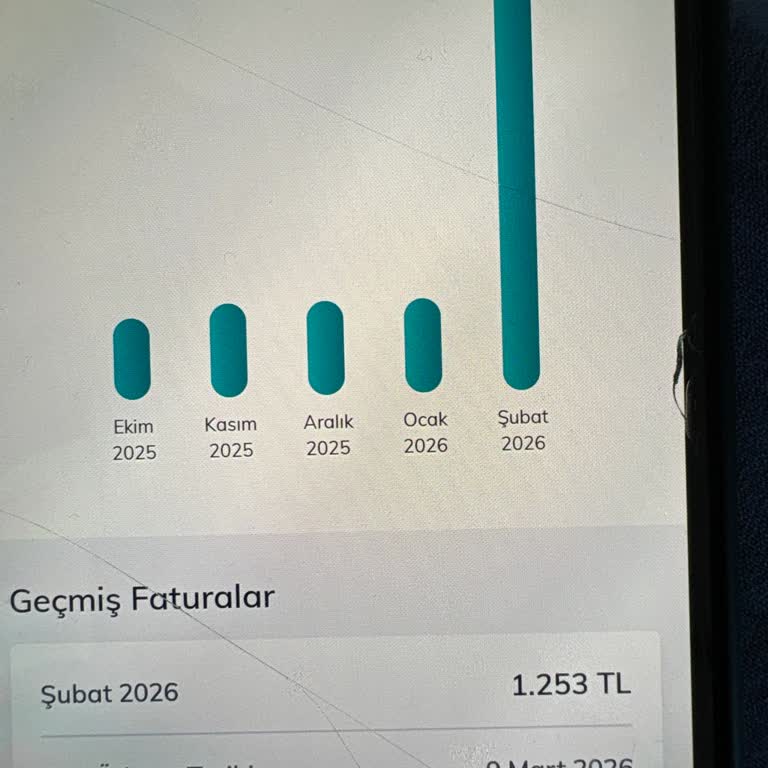Yetkisiz Çocuk Oyun Alımları Ve Canlı Destek Sorunu Nedeniyle Aşırı Fatura